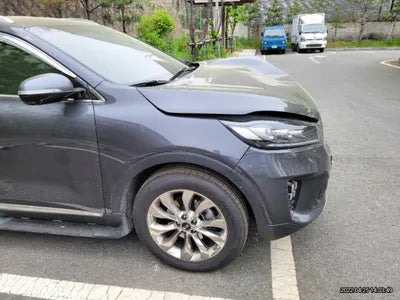 2017 Kia Sorento KNAPS81BDJA401334 VIN:KNAPS81BDJA401334