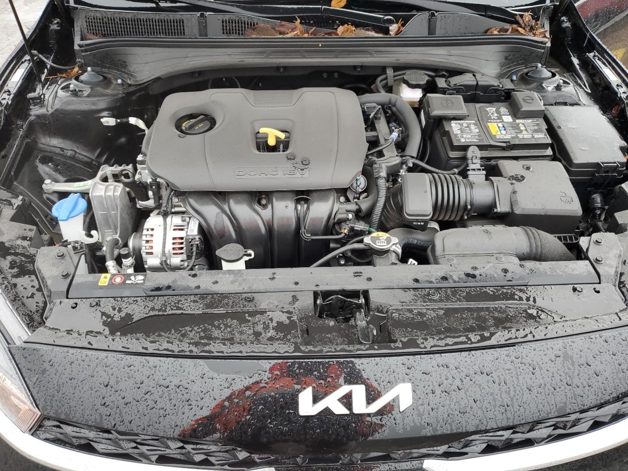 2024 KIA FORTE LX VIN:3KPF24AD9RE714243