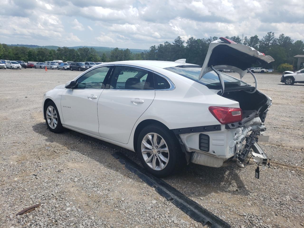 2023 CHEVROLET MALIBU LT VIN:1G1ZD5ST3PF224282