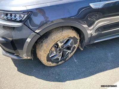 2023 Kia Sorento KNARL81GBPA144089 VIN:KNARL81GBPA144089