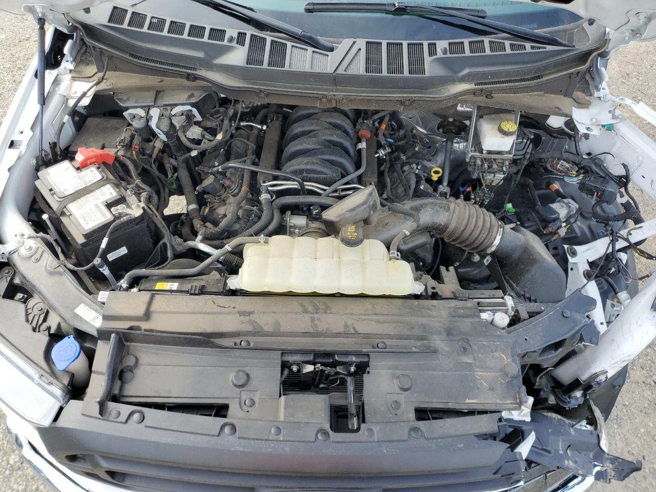 2023 FORD F150 SUPER CAB VIN:1FTFX1E55PKF59056