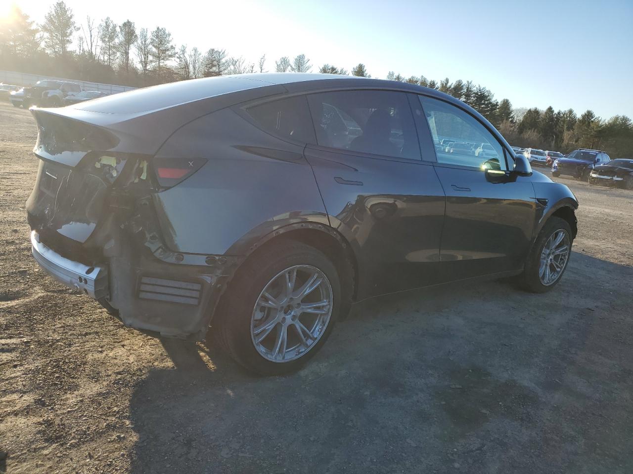 2024 TESLA MODEL Y  VIN:7SAYGDED9RF092986