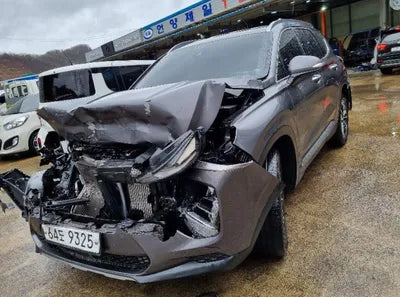 2019 Hyundai Santa FE KMHS381CBKU124651 VIN:KMHS381CBKU124651