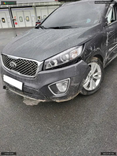 2016 Kia Sorento KNAPS81ABHA302496 VIN:KNAPS81ABHA302496