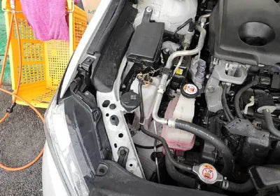 2019 Toyota Camry JTNB21HK8K3043500 VIN:JTNB21HK8K3043500