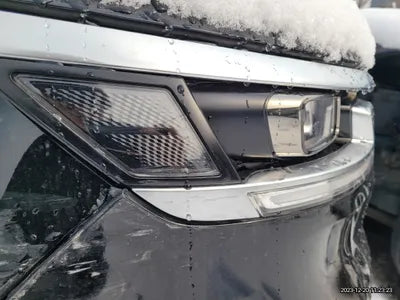 2021 Kia Carnival KNANE813BMS088736 VIN:KNANE813BMS088736