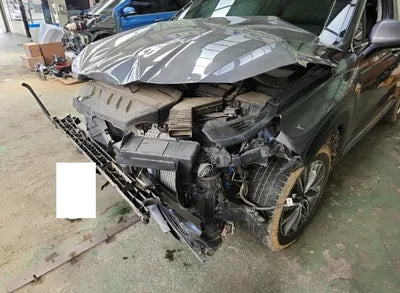 2020 Hyundai Santa FE KMHS281BBLU285246 VIN:KMHS281BBLU285246