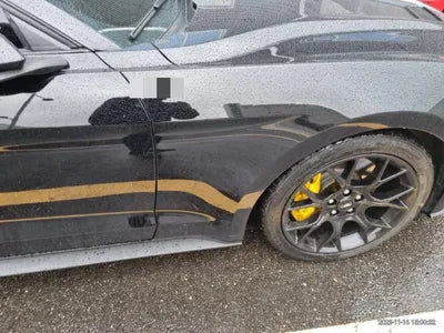 2019 Ford Mustang VIN: