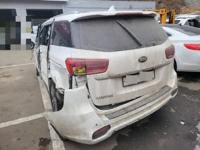 2019 Kia Carnival KNAMB81ABKS592317 VIN:KNAMB81ABKS592317
