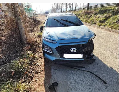 2018 Hyundai Kona KMHK4815GJU008586 VIN:KMHK4815GJU008586