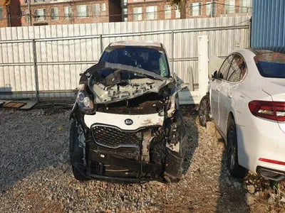 2020 Kia Sportage KNAPL812GLK847223 VIN:KNAPL812GLK847223