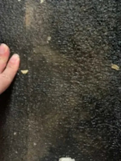 2017 Honda Accord 1HGCR2680HA515482 VIN:1HGCR2680HA515482