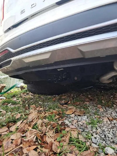 2021 Kia Sorento KNARH81BGMA053240 VIN:KNARH81BGMA053240