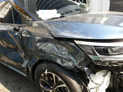 2021 Kia Carnival KNANC813BMS119768 VIN:KNANC813BMS119768