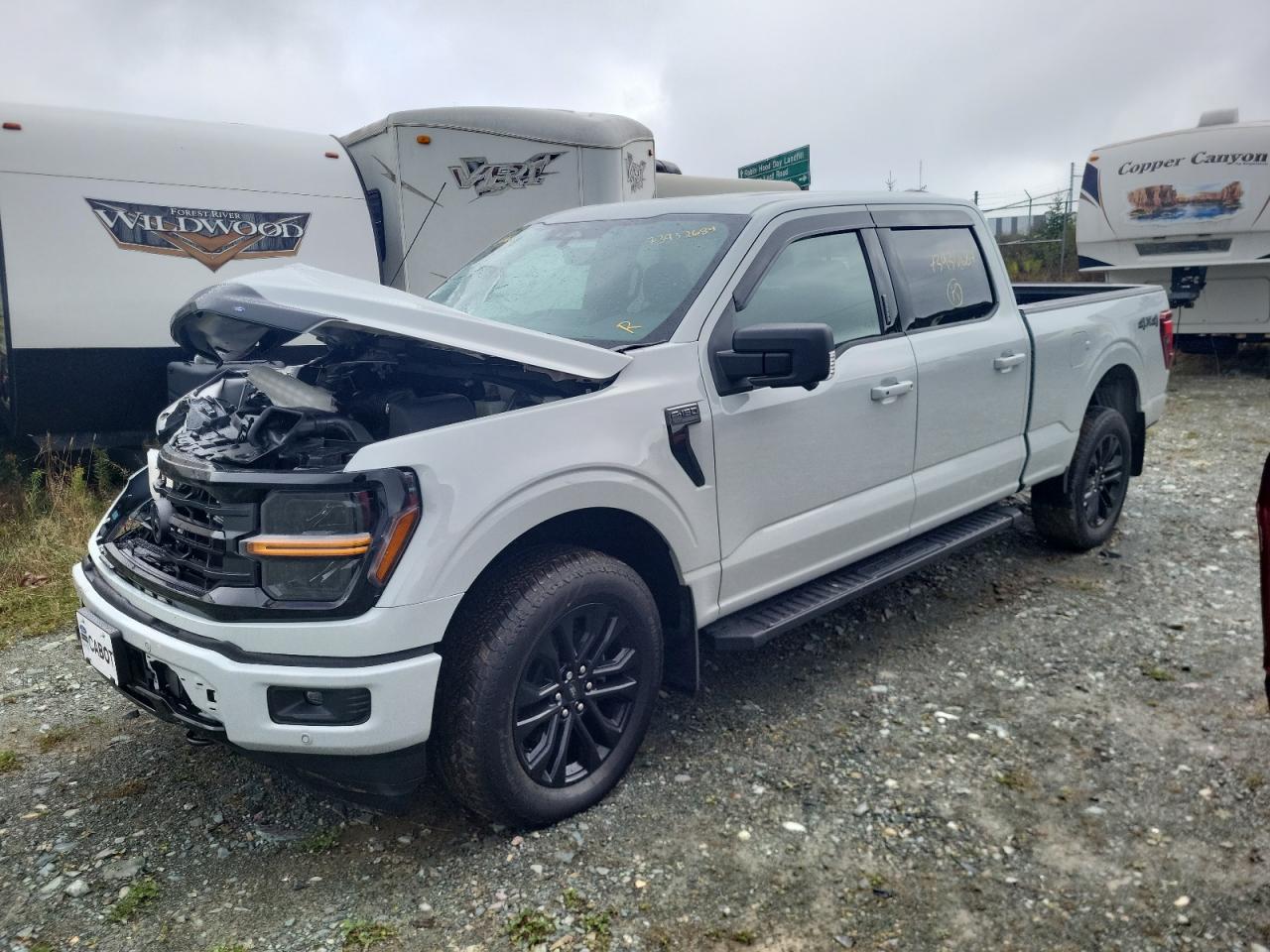 2024 FORD F150 XLT VIN:1FTFW3L84RFB56466