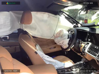 2021 Kia Sorento KNARH81BGMA091598 VIN:KNARH81BGMA091598