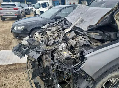 2019 Hyundai Santa FE KMHS381CBKU017002 VIN:KMHS381CBKU017002