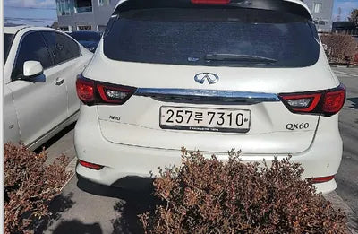 2019 Infiniti QX60 5N1DL0MM5KC565265 VIN:5N1DL0MM5KC565265