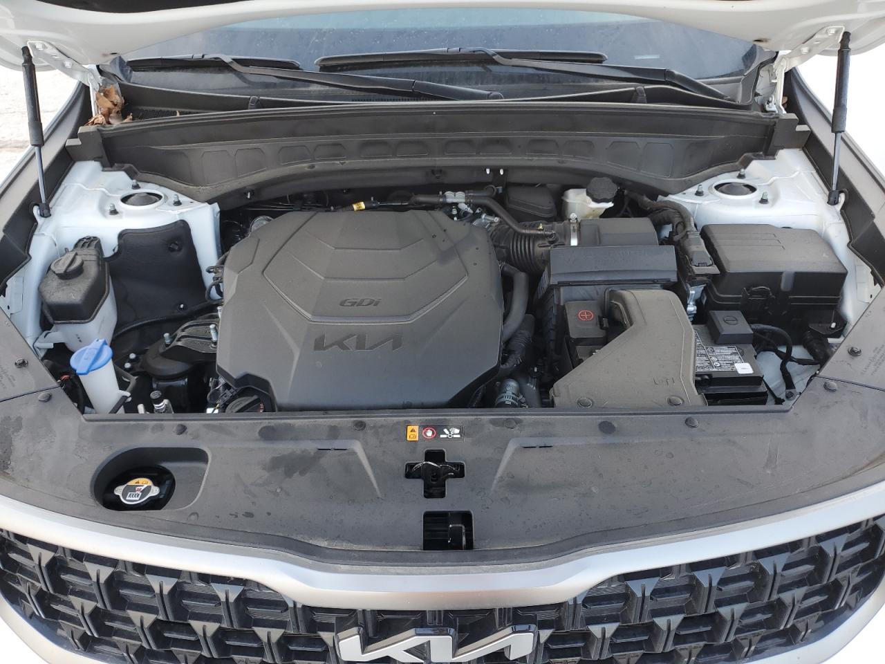 2023 KIA TELLURIDE SX VIN:5XYP5DGC2PG366019