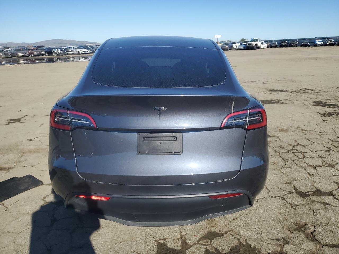 2023 TESLA MODEL Y  VIN:7SAYGDED6PF979667