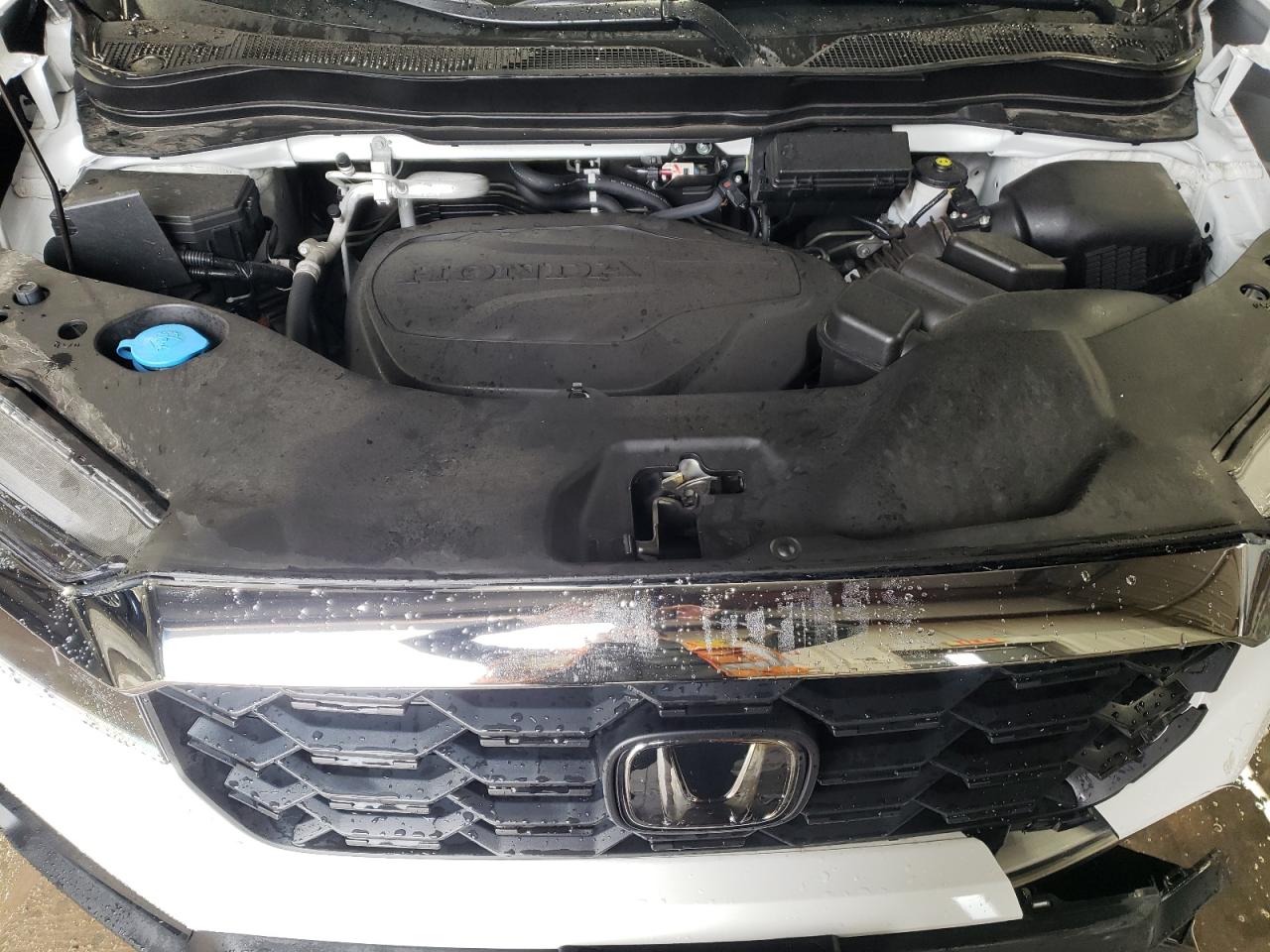2022 HONDA PASSPORT EXL VIN:5FNYF8H51NB031914
