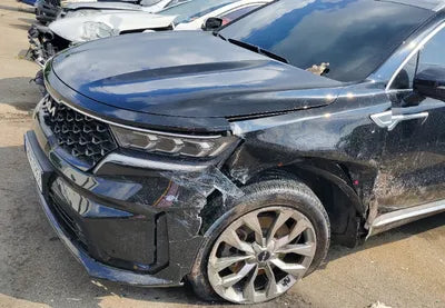 2022 Kia Sorento KNARF81FGNA132312 VIN:KNARF81FGNA132312