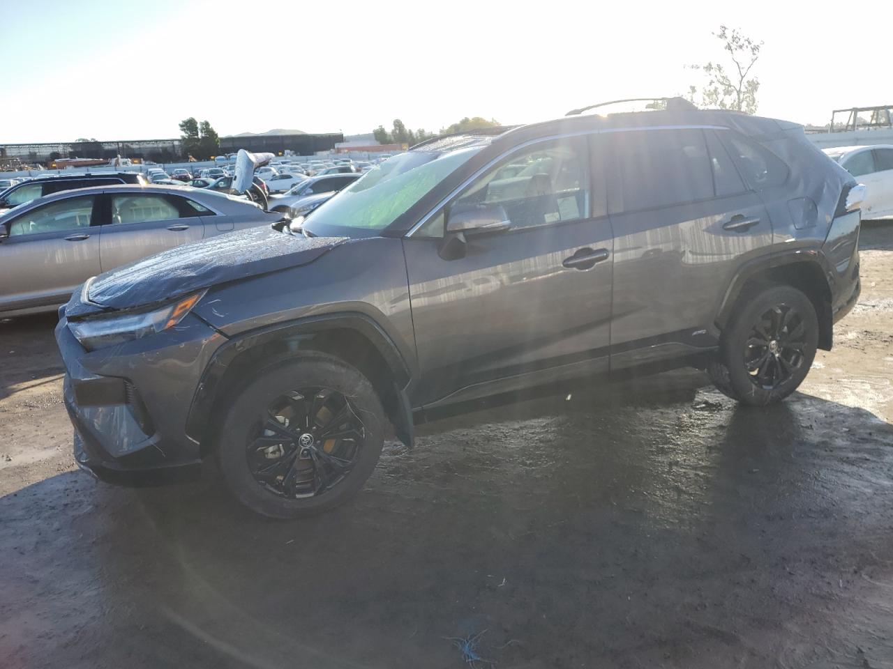 2024 TOYOTA RAV4 SE VIN:JTM16RFV2RJ061299