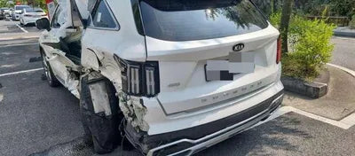 2020 Kia Sorento KNARG81BHMA001830 VIN:KNARG81BHMA001830