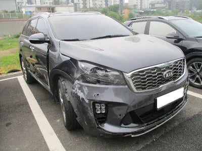 2019 Kia Sorento KNAPH81BBLA599043 VIN:KNAPH81BBLA599043