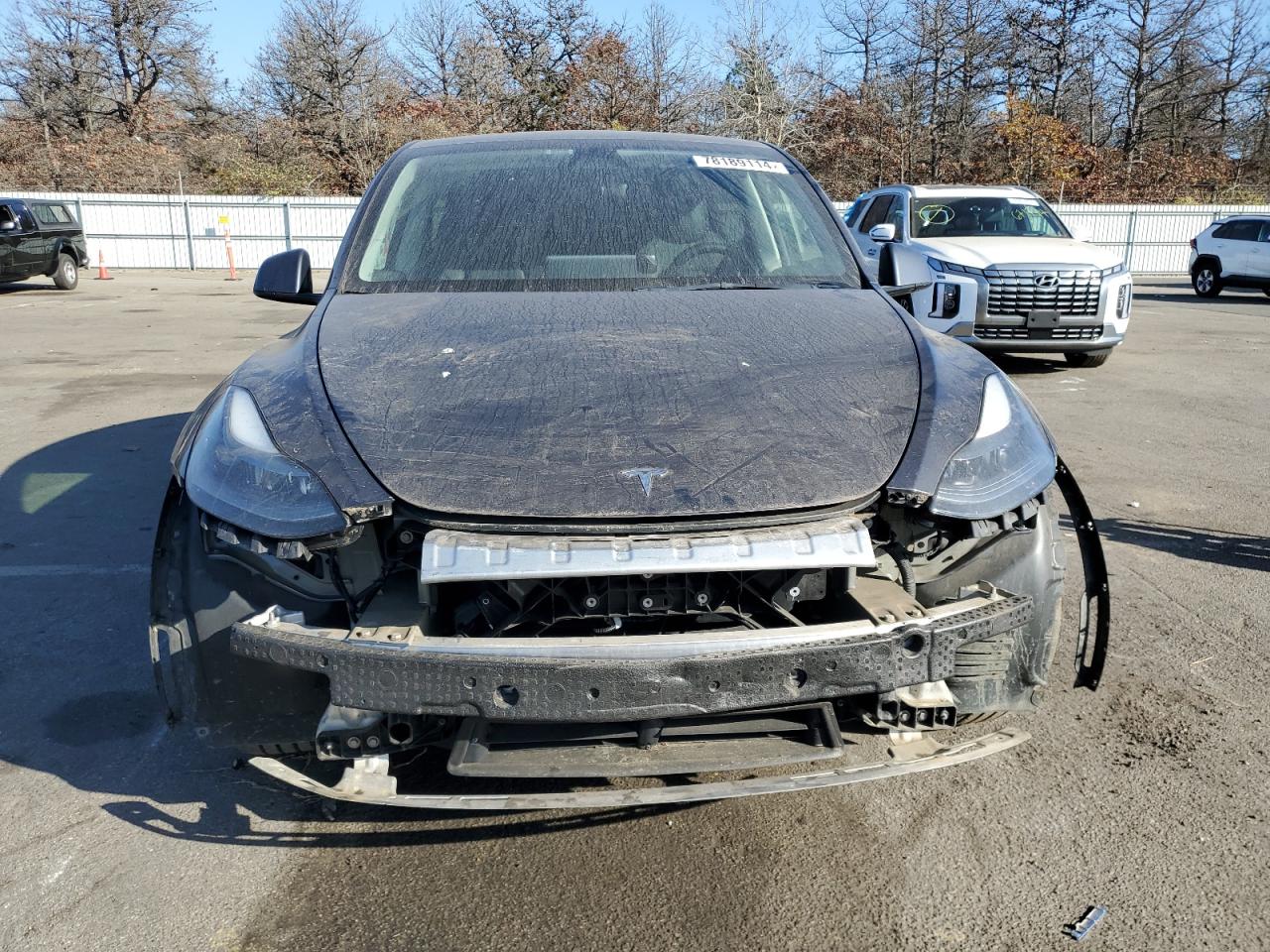 2022 TESLA MODEL Y  VIN:7SAYGDEF5NF338301