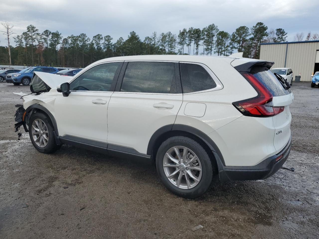 2024 HONDA CR-V EX VIN:2HKRS3H47RH334567