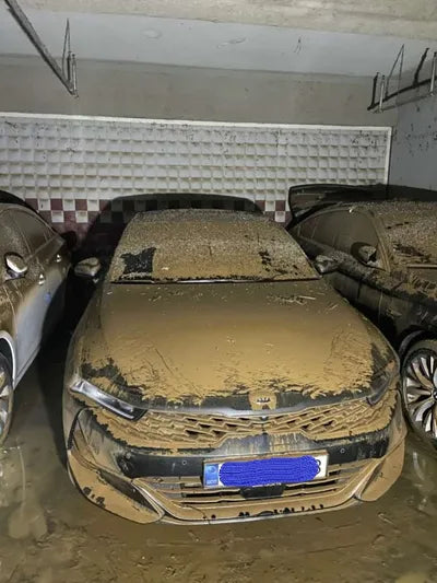 2021 Kia K5 KNAG3412BMA127784 VIN:KNAG3412BMA127784