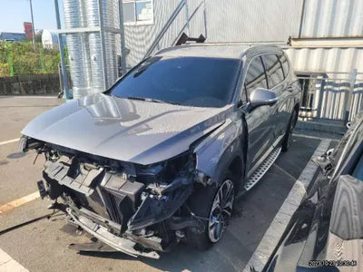 2019 Hyundai Santa FE KMHS381BBKU087945 VIN:KMHS381BBKU087945