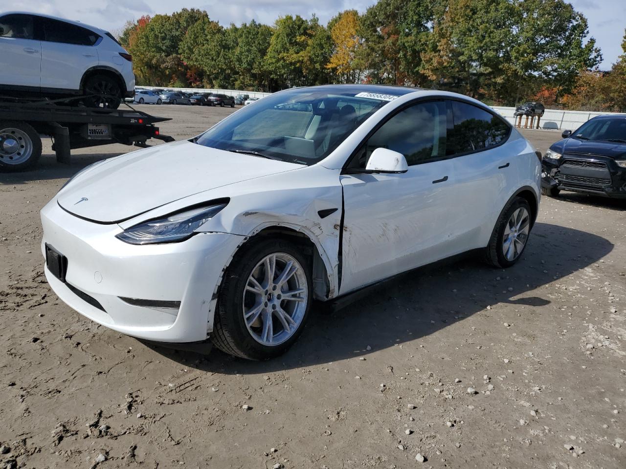 2023 TESLA MODEL Y  VIN:7SAYGDEE6PA077249