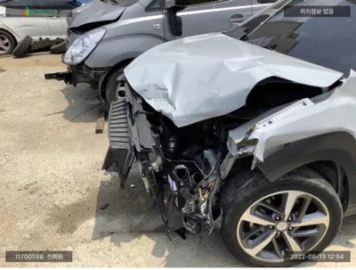 2019 Hyundai Kona KMHK7815GKU430043 VIN:KMHK7815GKU430043