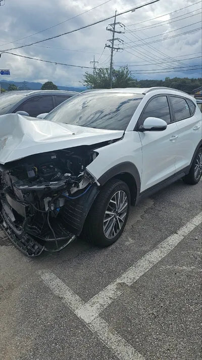 2019 Hyundai Tucson KMHJ581ADKU058096 VIN:KMHJ581ADKU058096