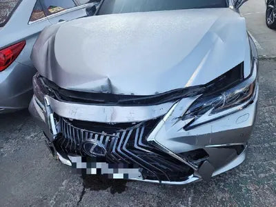 2019 Lexus ES 300 VIN: