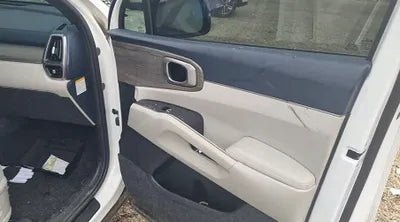 2021 Kia Sorento KNARH81GBMA021079 VIN:KNARH81GBMA021079