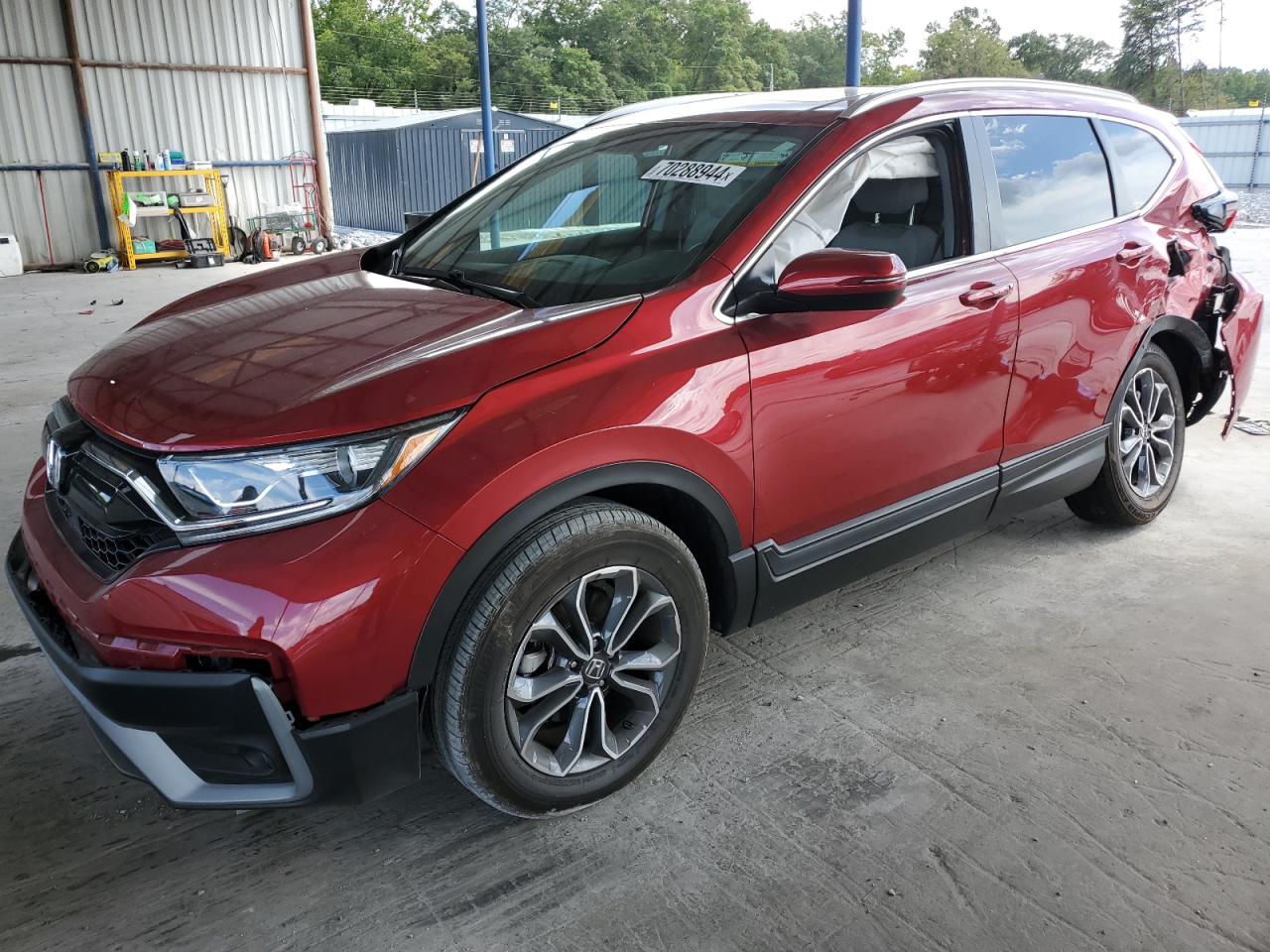 2022 HONDA CR-V EXL VIN:5J6RW2H81NA003979