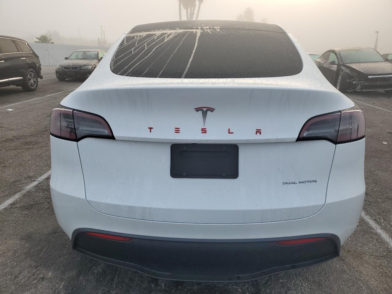 2023 TESLA MODEL Y  VIN:7SAYGDEEXPA130244