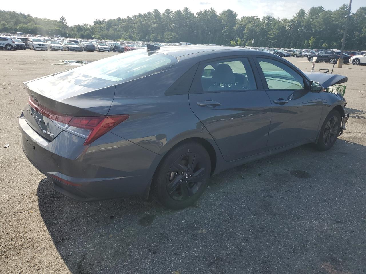 2023 HYUNDAI ELANTRA BLUE VIN:KMHLM4AJXPU076615