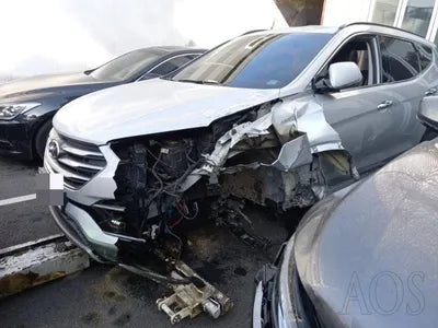 2016 Hyundai Santa FE KMHSW81UBGU698967 VIN:KMHSW81UBGU698967