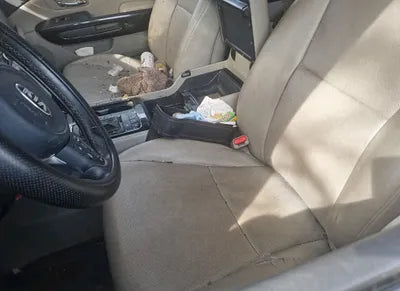 2016 Kia Carnival KNAMC81ABGS126388 VIN:KNAMC81ABGS126388