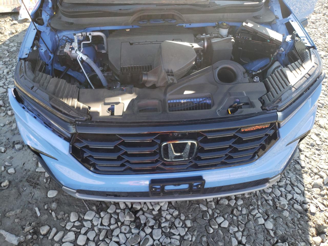 2024 HONDA PILOT TRAILSPORT VIN:5FNYG1H6XRB023507