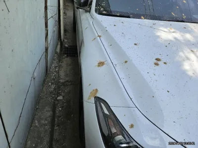 2018 Genesis G70 VIN: