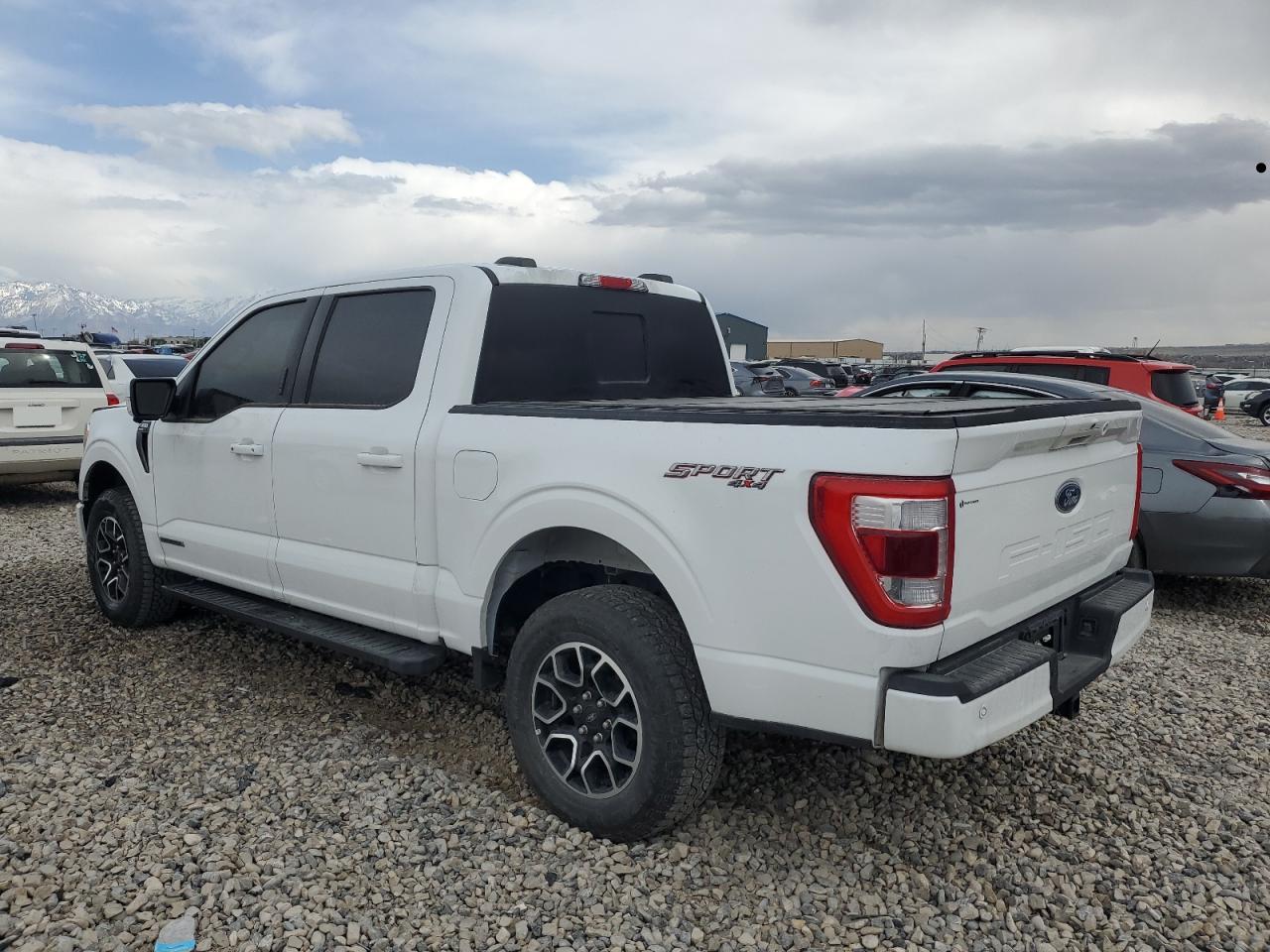 2023 FORD F150 SUPERCREW VIN:1FTFW1ED9PFD27899