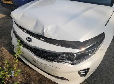 2016 Kia K5 KNAGU415GGA038839 VIN:KNAGU415GGA038839