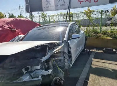 2022 Tesla Model 3 5YJ3E1EA5NF303368 VIN:5YJ3E1EA5NF303368