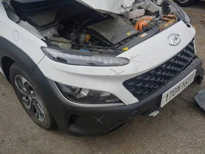 2021 Hyundai Kona KMHK281EGMU060134 VIN:KMHK281EGMU060134