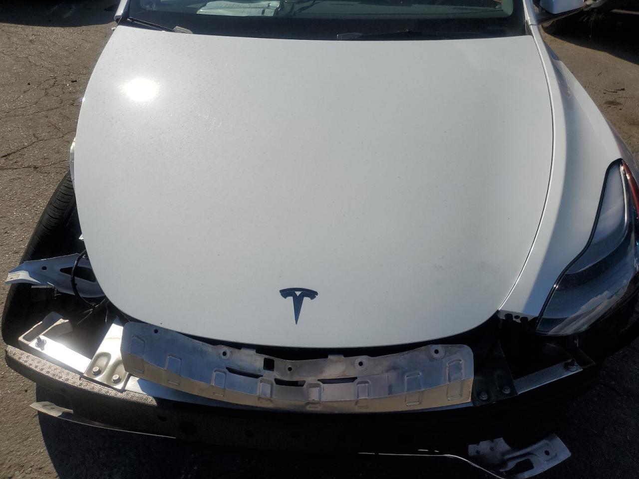 2023 TESLA MODEL Y  VIN:7SAYGDEEXPF810843